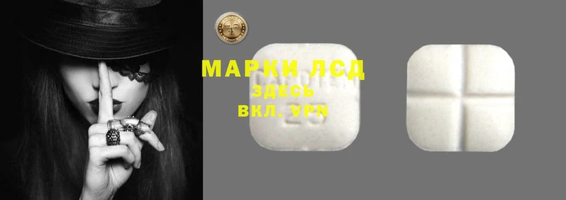 ГАЛЛЮЦИНОГЕННЫЕ ГРИБЫ Балабаново