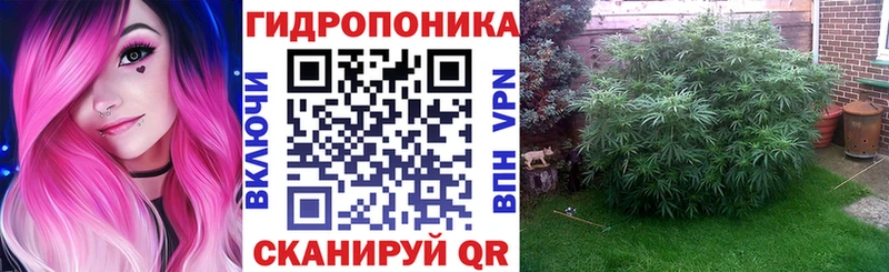 Купить закладки  Городец  Марихуана OG Kush 